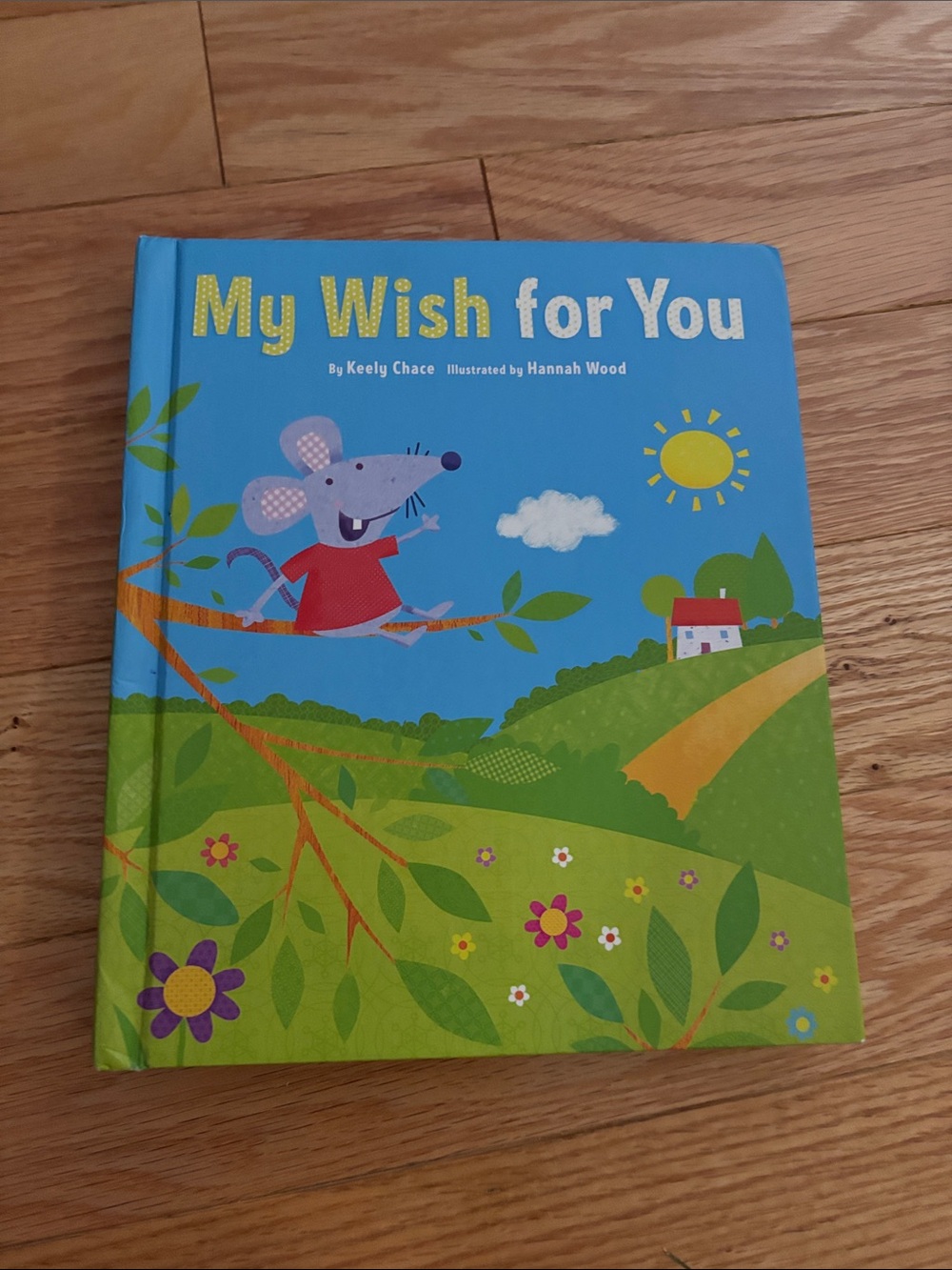 My Wish For You by Keely Chace Hallmark Recordable Storybook Tested Battery
